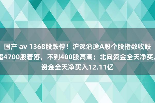 国产 av 1368股跌停！沪深沿途A股个股指数收跌8.24%，超4700股着落，不到400股高潮；北向资金全天净买入12.11亿