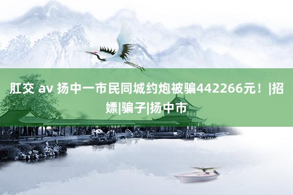 肛交 av 扬中一市民同城约炮被骗442266元！|招嫖|骗子|扬中市