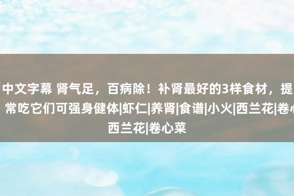 中文字幕 肾气足，百病除！补肾最好的3样食材，提议：常吃它们可强身健体|虾仁|养肾|食谱|小火|西兰花|卷心菜